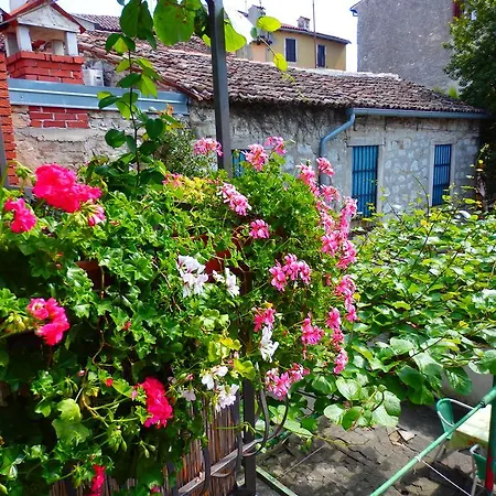 Old Town Joy * Rovinj